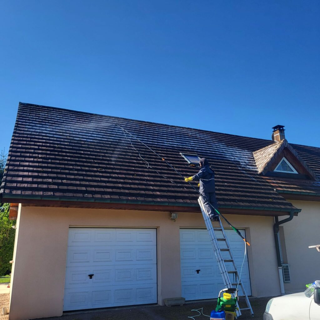 démoussage de toiture à Dijon